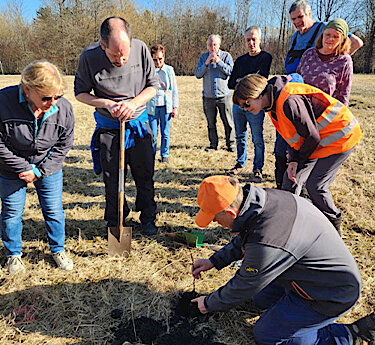 Der ehemalige Forstamtsleiter Hans-Jürgen Gulder erklärte, wie ein Baum fachgerecht gepflanzt wird. 
